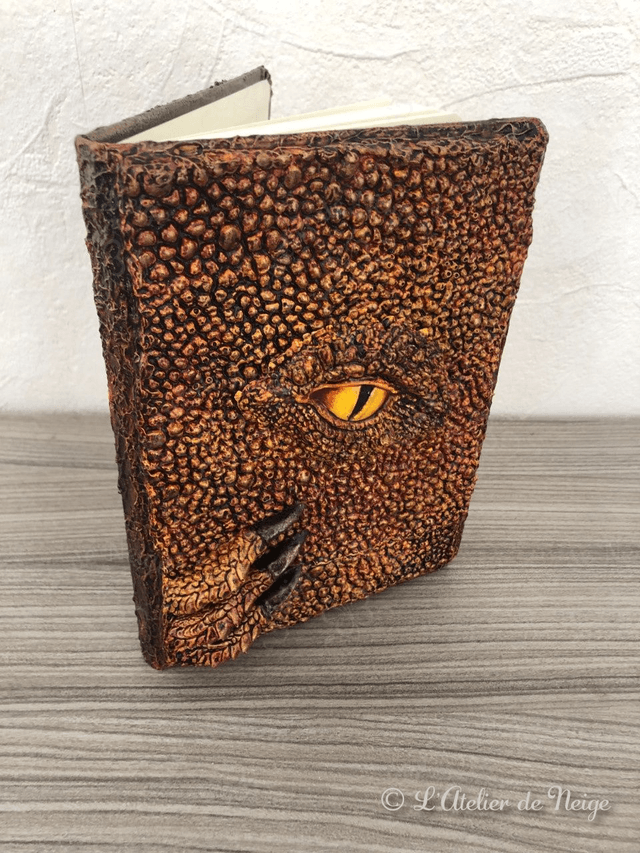 Carnet Œil de Dragon
