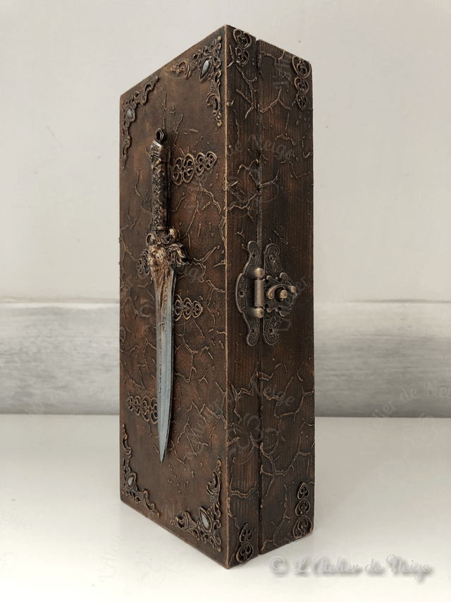 Coffret Epée Lion Mystique