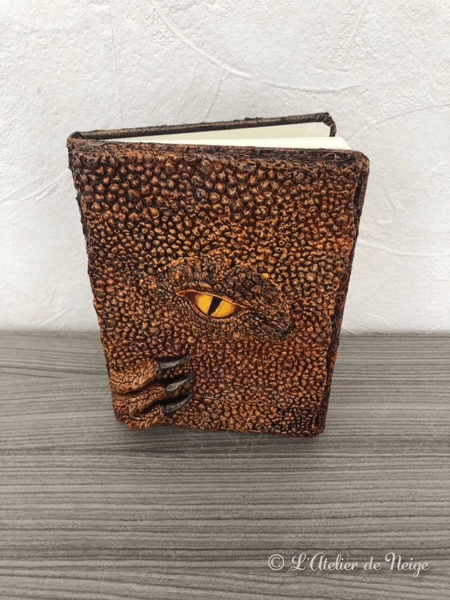 Carnet Œil de Dragon