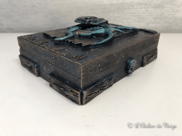 Coffret Jeu de Cartes Pirates Maudits