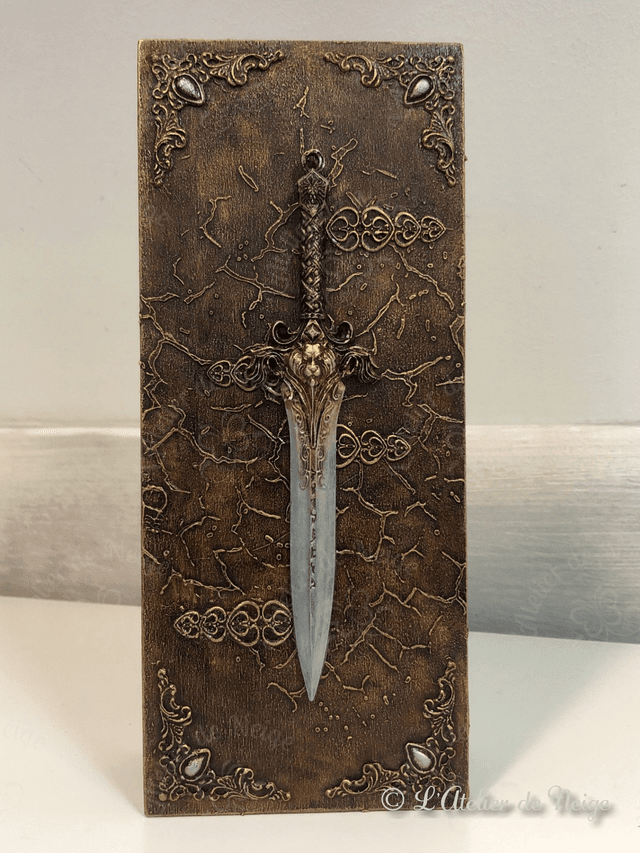 Coffret Epée Lion Mystique